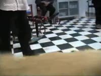 Golden Opportunity to have a fun fuck of dog